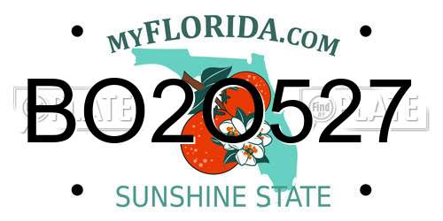 BO2O527 Florida License Plate