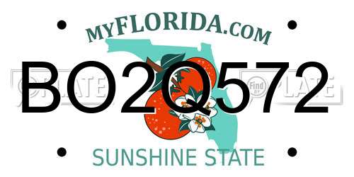 BO2Q572 Florida License Plate