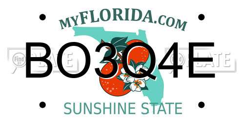 BO3Q4E Florida License Plate