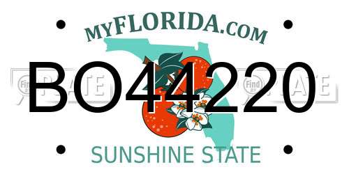 BO44220 Florida License Plate