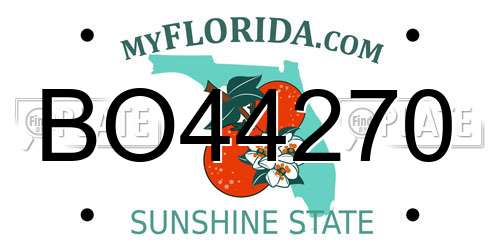 BO44270 Florida License Plate