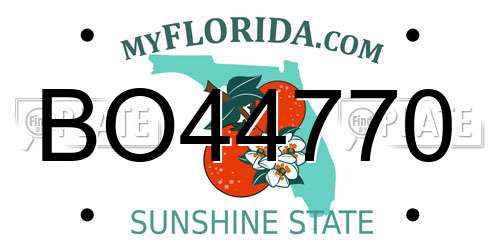 BO44770 Florida License Plate