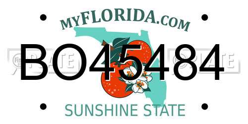 BO45484 Florida License Plate