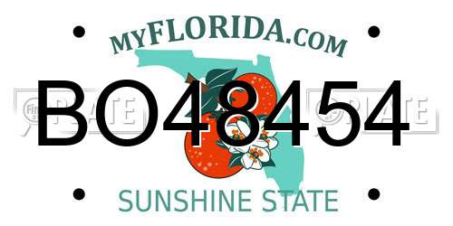 BO48454 Florida License Plate