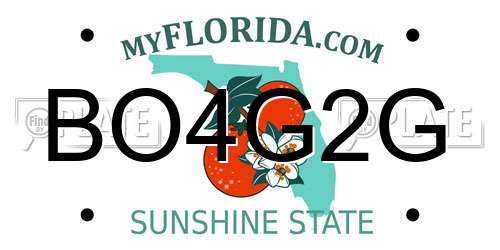 BO4G2G Florida License Plate