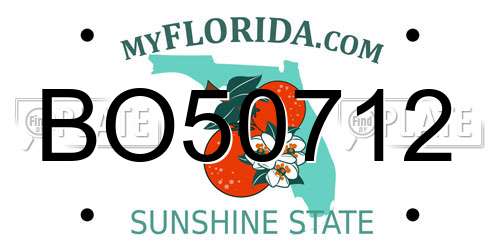 BO50712 Florida License Plate