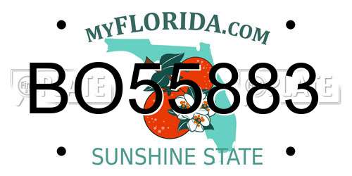 BO55883 Florida License Plate