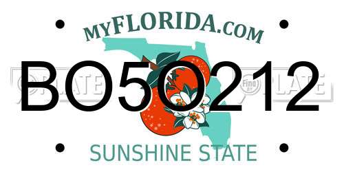 BO5O212 Florida License Plate