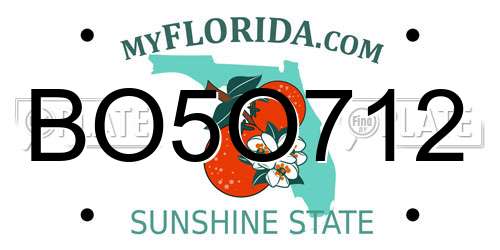 BO5O712 Florida License Plate