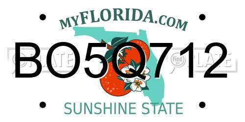 BO5Q712 Florida License Plate
