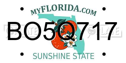 BO5Q717 Florida License Plate