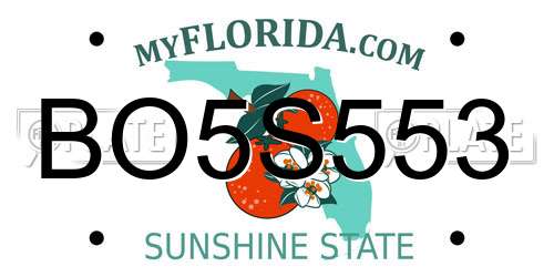 BO5S553 Florida License Plate