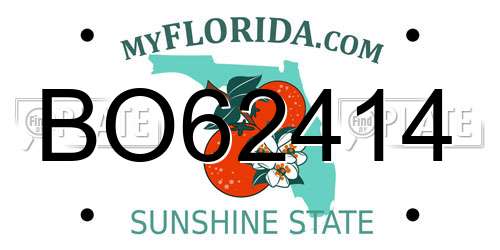 BO62414 Florida License Plate