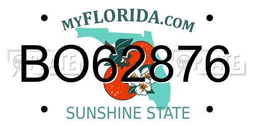 BO62876 Florida License Plate