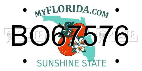 BO67576 Florida License Plate
