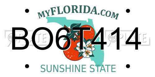 BO6T414 Florida License Plate