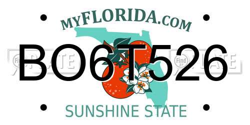 BO6T526 Florida License Plate