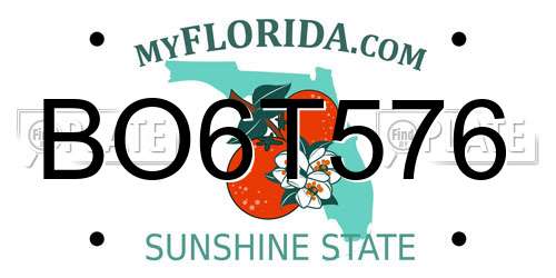 BO6T576 Florida License Plate