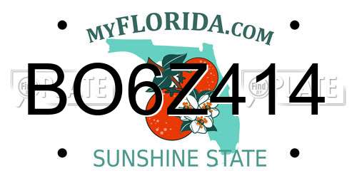 BO6Z414 Florida License Plate