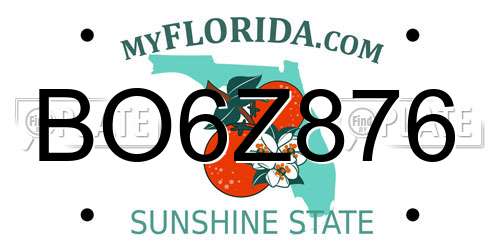 BO6Z876 Florida License Plate