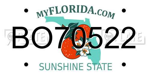 BO70522 Florida License Plate