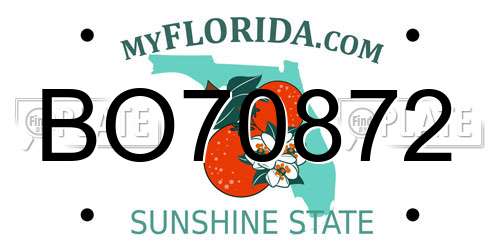 BO70872 Florida License Plate