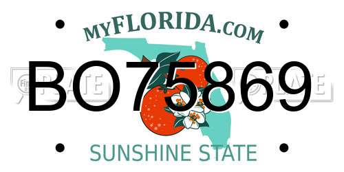 BO75869 Florida License Plate