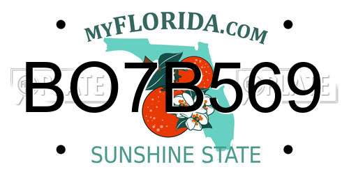 BO7B569 Florida License Plate