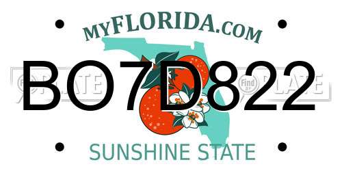 BO7D822 Florida License Plate