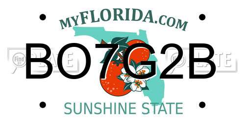 BO7G2B Florida License Plate