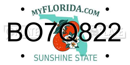 BO7Q822 Florida License Plate