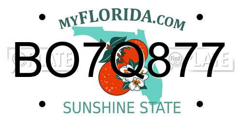 BO7Q877 Florida License Plate