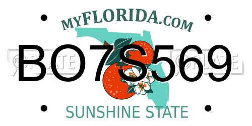 BO7S569 Florida License Plate