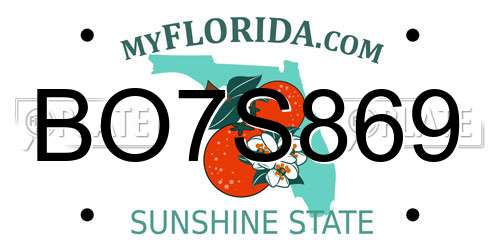 BO7S869 Florida License Plate