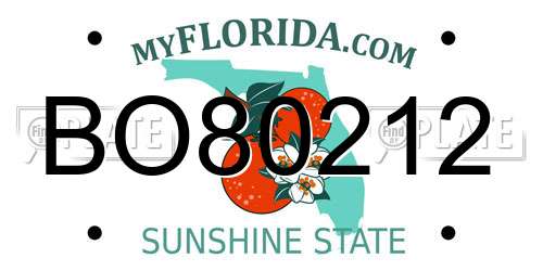 BO80212 Florida License Plate