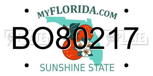 BO80217 Florida License Plate