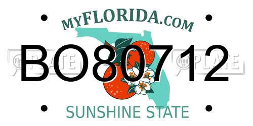 BO80712 Florida License Plate