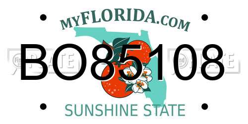BO85108 Florida License Plate