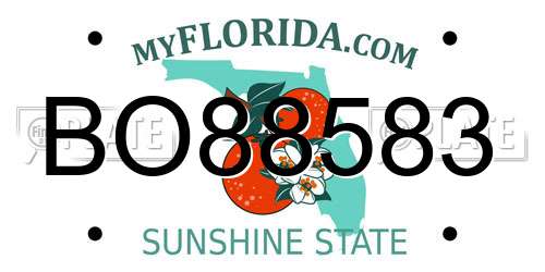 BO88583 Florida License Plate