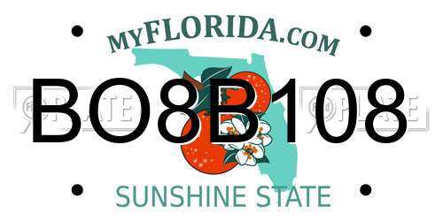 BO8B108 Florida License Plate