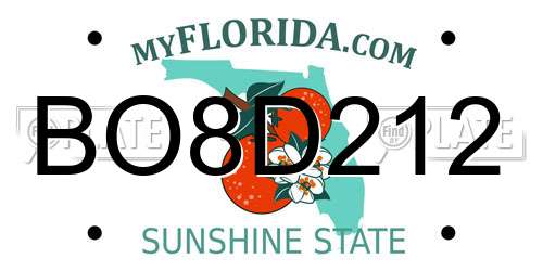 BO8D212 Florida License Plate