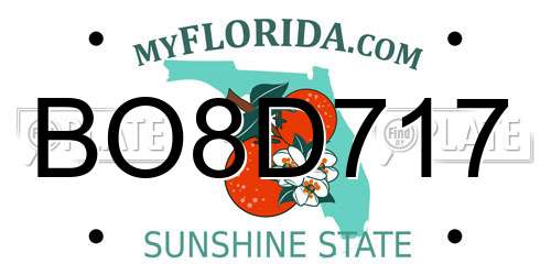 BO8D717 Florida License Plate
