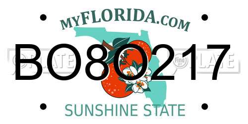 BO8O217 Florida License Plate