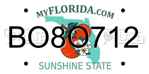 BO8O712 Florida License Plate