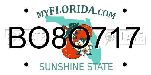 BO8O717 Florida License Plate