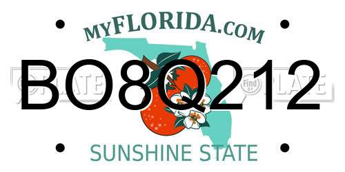 BO8Q212 Florida License Plate