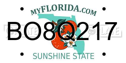 BO8Q217 Florida License Plate