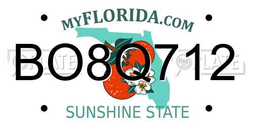 BO8Q712 Florida License Plate