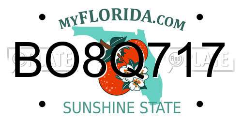 BO8Q717 Florida License Plate