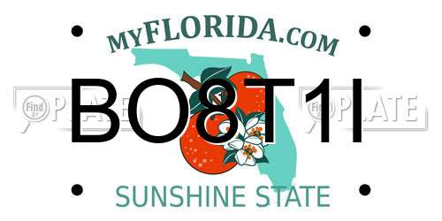 BO8T1I Florida License Plate